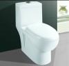 one piece washdown toilet
