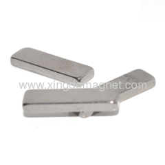 Magnetized NdFeB strip Magnets