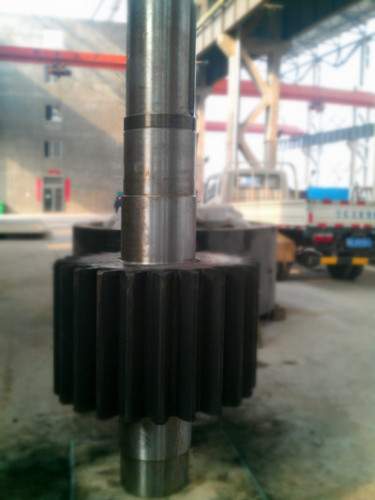 Pinions gears / high quality gear shaft