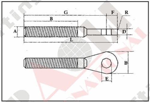 S.S. EYE TERMINAL WITH THREAD AISI: 304 or 316 28427S