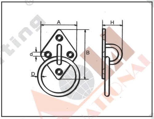 S.S. DIAMOND EYE PLATE WITH RING AISI: 304 or 316