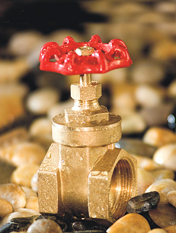 brass gate valve