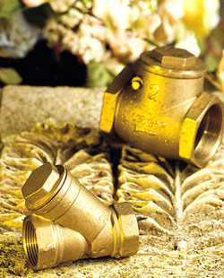 brass check valve