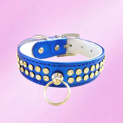 Daisy dog collar