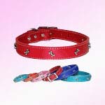 large dog collars