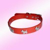 dog collar