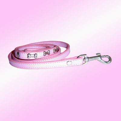 dog collar