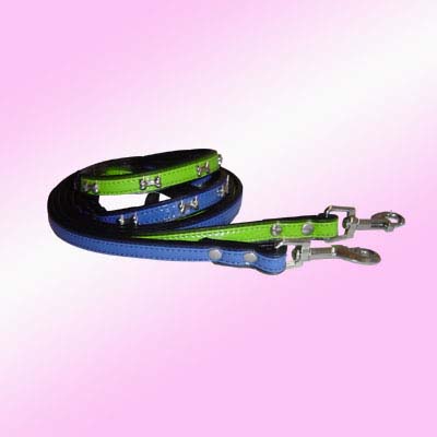 DOG LEASH