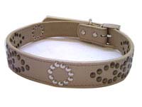 Big Dog Collar