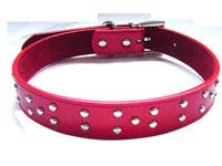 Dog Collar