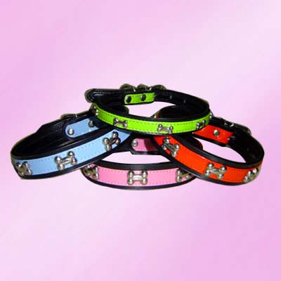 cat collar