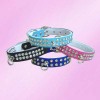 Dog Collar pet collar PU collar