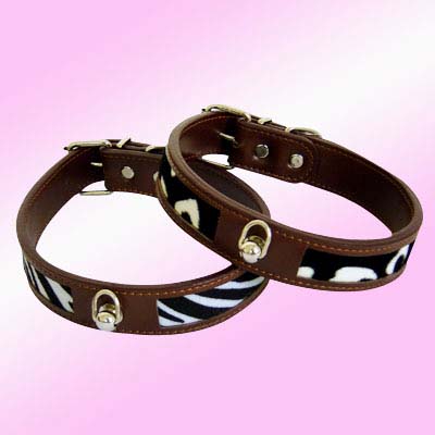 spiked dog collars