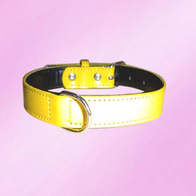 plain Dog Collar