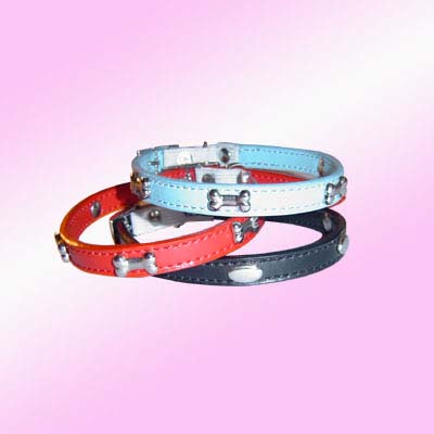 dog training collars