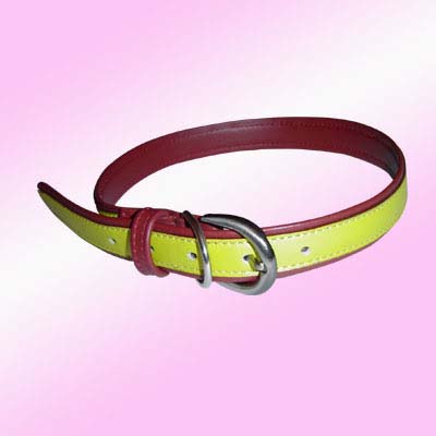 Dog Collar