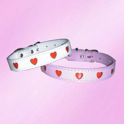 wholesale dog collars