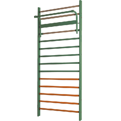 Ladder Training Device