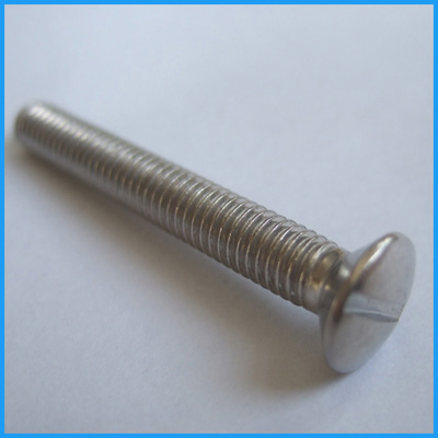 slotted raised csk head screws