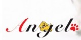 Ningbo Angel Pet Products Manufacturers Co., Ltd.