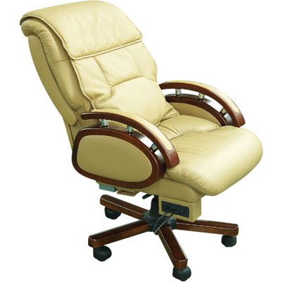 Luxurious Massage Chair