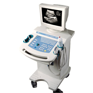 Ultrasound Scanner with Convex Array Probe