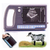 (PalmSmart) Ultrasound Scanner