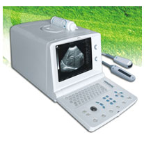 Vet Ultrasonic