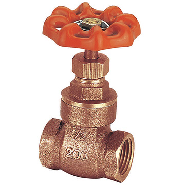 Bronze Valve