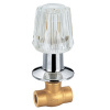 Brass Valve