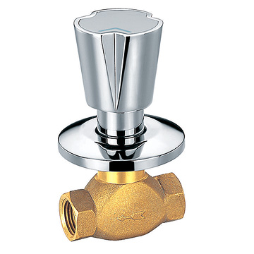 brass angle valves