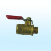 Brass Mini Valve