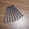 Stainless Steel Nails