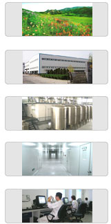 SHAANXI JIAHE PHYTOCHEM CO.,LTD