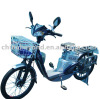 alloy Electric Bicycle