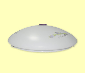 PIR Ceiling Lamp