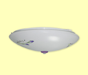 PIR Ceiling Lamp