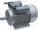 TYBZ Synchronous motor