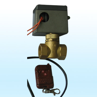 Electrical Control Valve