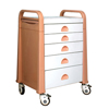 Medicine Delivery Trolley