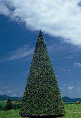 Big Artificial Christmas Tree