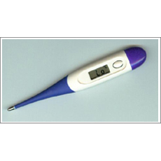 Flexible Digital Thermometer