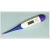 Flexible Digital Thermometer