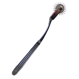 Wheel Type Reflex Hammer