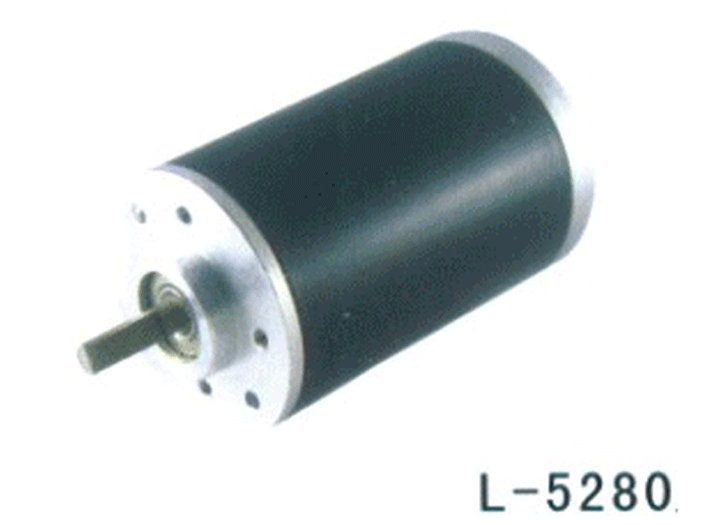 Electric Motor L-5280