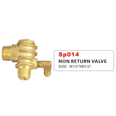 Non Return Valve