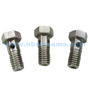 special bolt & Oil bolt