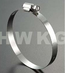 304 Hose Clamp