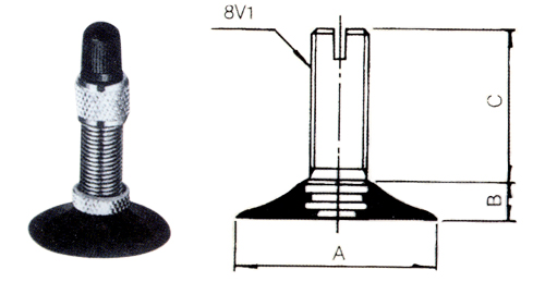 Bicycle Valve