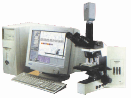 Pathological Drawing Analysis System